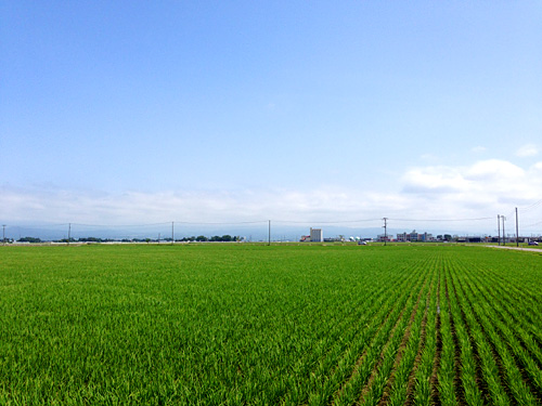 20140702_0